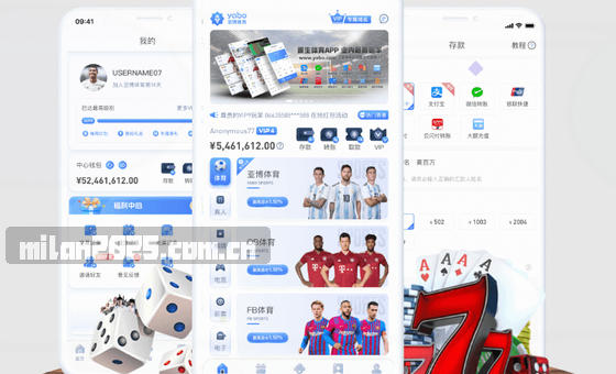 精美卡片展示，内容判断指引